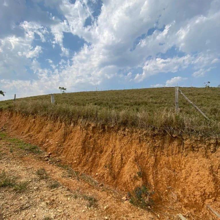 Terreno, 3 hectares - Foto 2