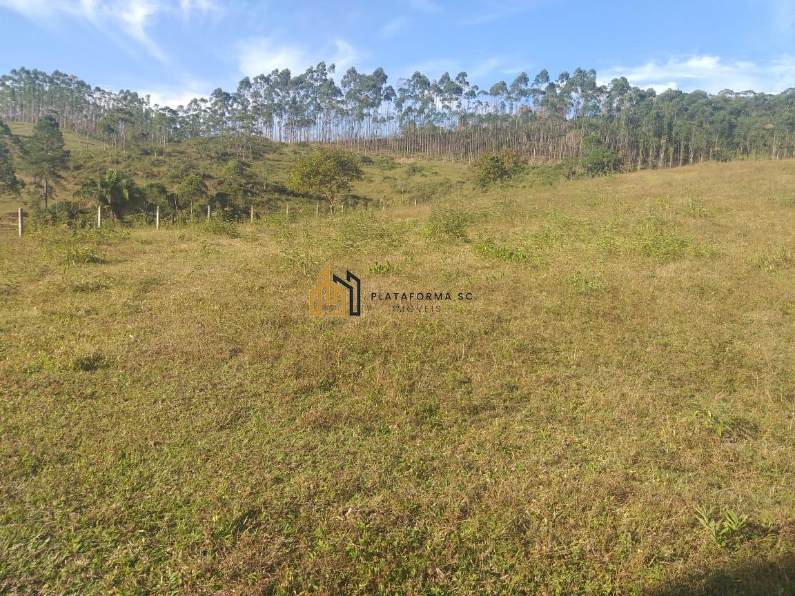 Terreno, 6 hectares - Foto 5